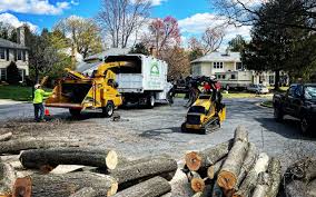 Kendall Park, NJ Tree Services Company